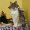 Отзыв от Алина Руднева